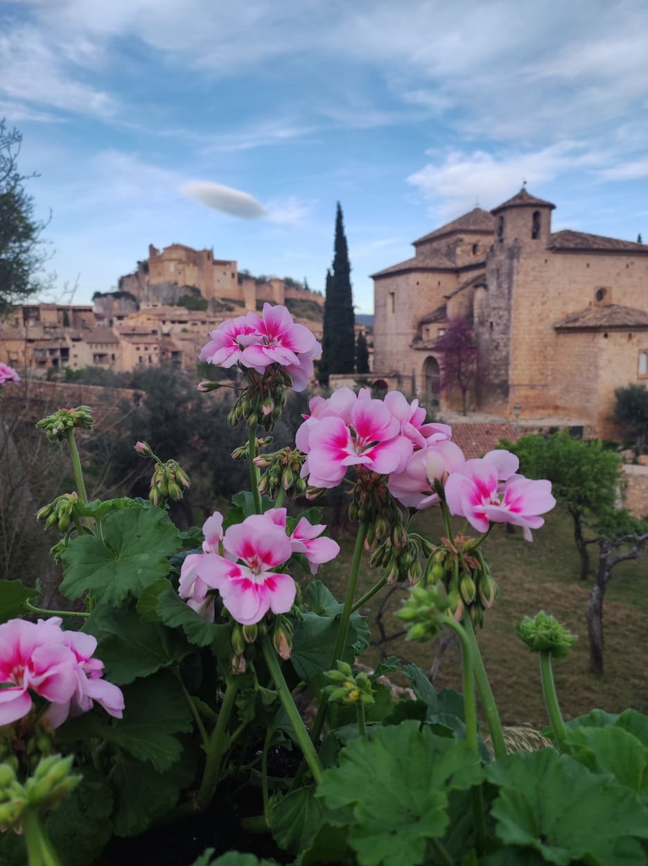 Meson del Vero - Terraza Meson del Vero - Terraza