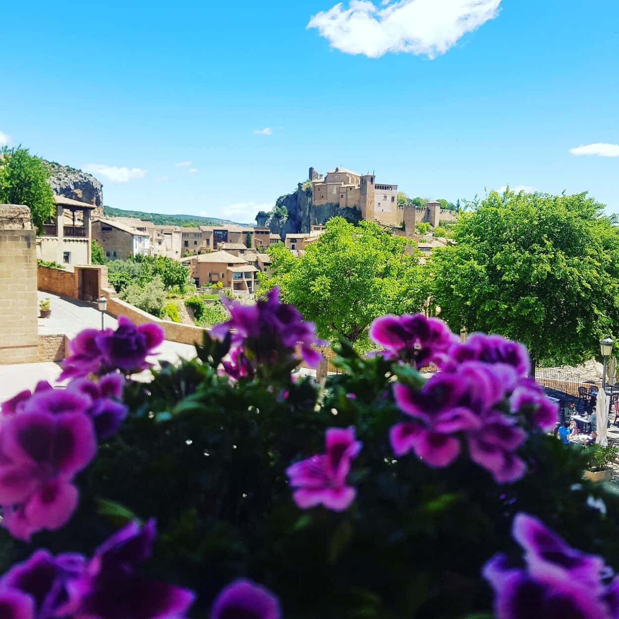 Meson del Vero - Vistas Meson del Vero - Vistas